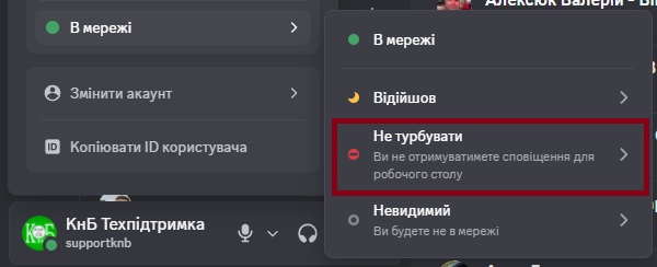 Discord Не турбувати